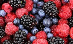 Manfaat Buah Berry untuk Fungsi Kognitif Otak: Mendukung Kesehatan Otak Optimal