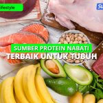 Menggali Potensi Sumber Protein Nabati Terbaik Selain Daging: Panduan Lengkap untuk Kesehatan Optimal