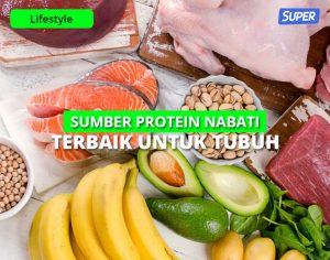 Menggali Potensi Sumber Protein Nabati Terbaik Selain Daging: Panduan Lengkap untuk Kesehatan Optimal