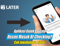 Kenapa Paylater Bisa Masuk BI Checking dan Menghambat KPR: Panduan Lengkap dan Solusinya