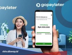 Panduan Finansial: Memahami Rekomendasi Paylater dengan Bunga 0 Persen untuk Elektronik dan Cara Memanfaatkannya Secara Bijak