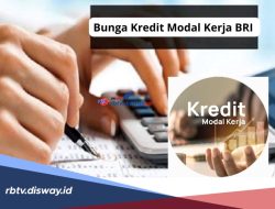 Panduan Komprehensif: Bagaimana Cara Mengajukan Kredit Modal Kerja untuk UMKM