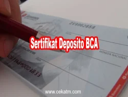 Panduan Lengkap: Kenapa Sertifikat Deposito Bisa Hilang dan Cara Mengurusnya secara Aman